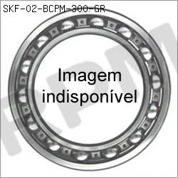 Figura ilustrativa para  02-BCPM-300-GR do nosso catálogo SKF. 